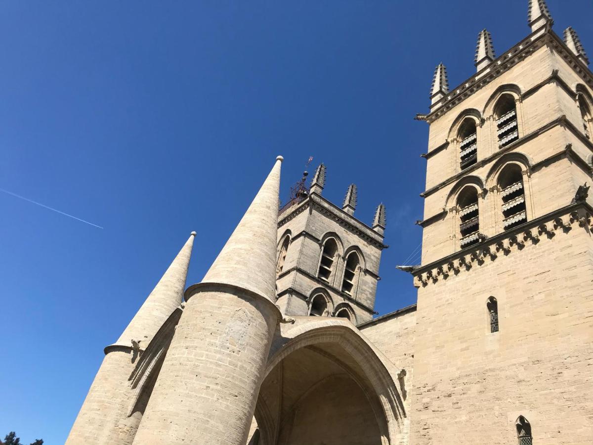 Duplex With Cathedral View * Montpellier