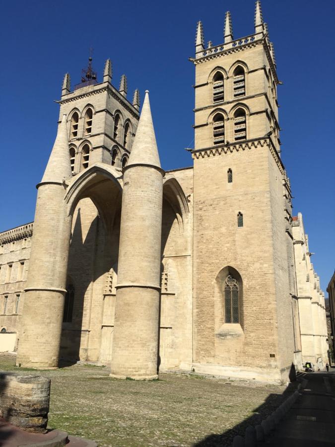 Duplex With Cathedral View Apartment *